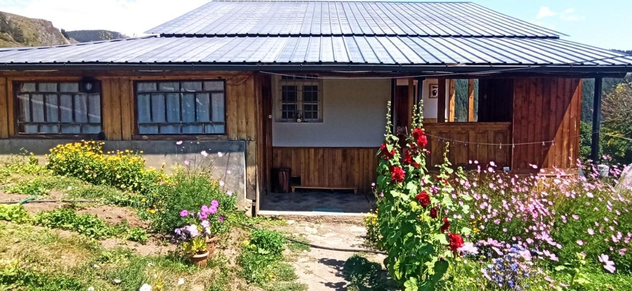 Guesthouse Sagrila Omalo 外观 照片