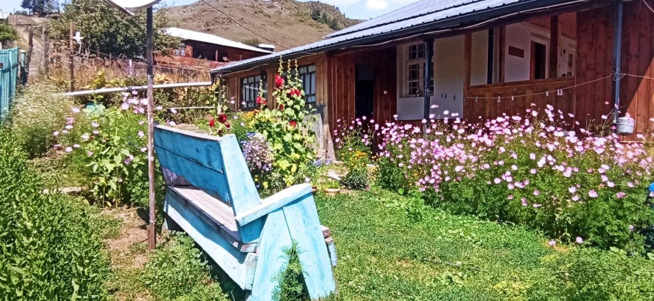 Guesthouse Sagrila Omalo 外观 照片
