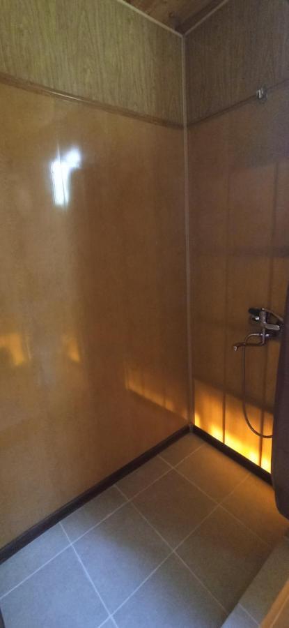 Guesthouse Sagrila Omalo 外观 照片